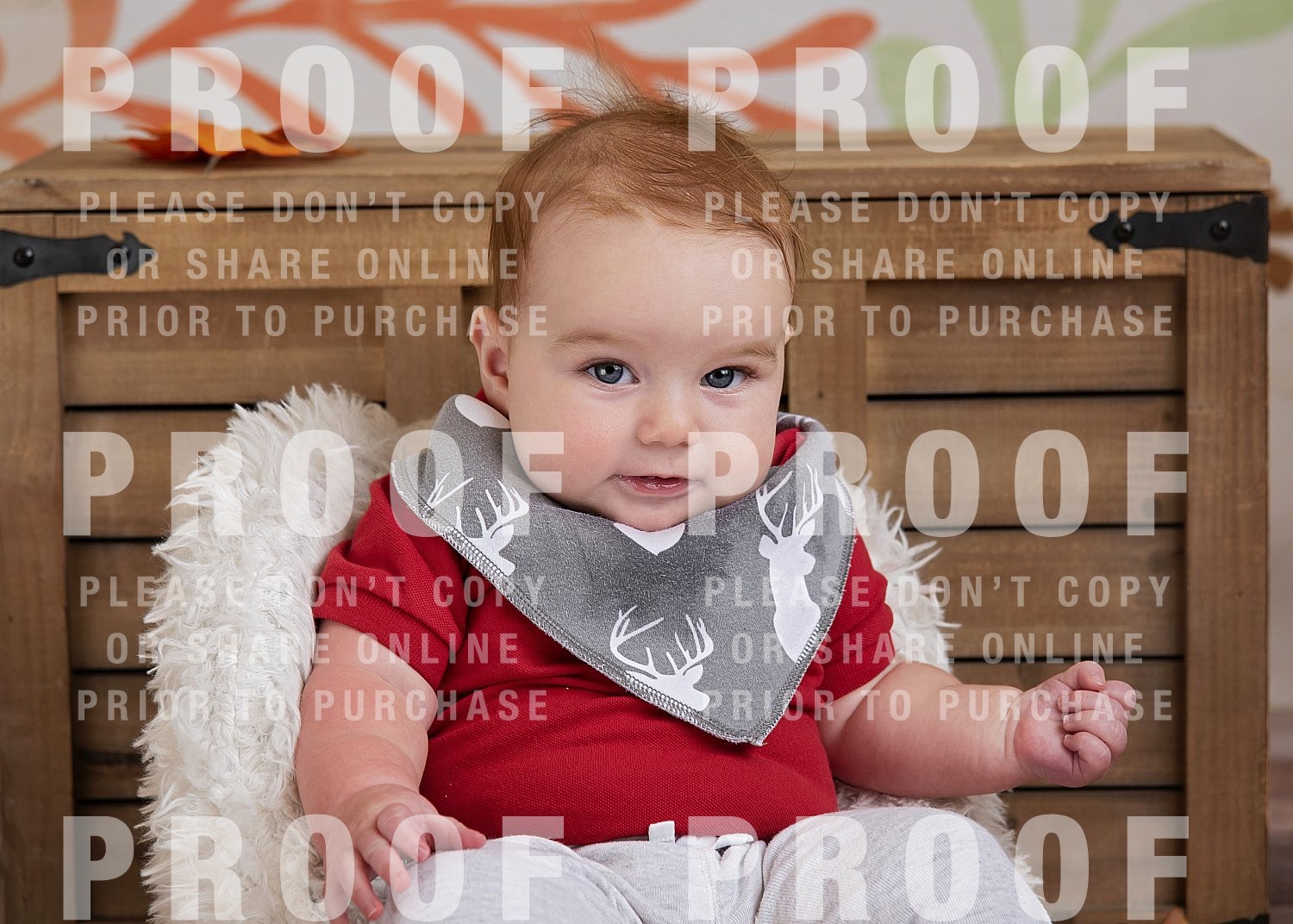 Kiddie Academy Fall 2022 Client Galleries Http shineportraits